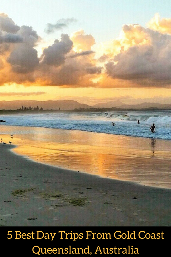 Five Popular Day Trips From Gold Coast, Australia
