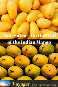 Aam Sutra – On the trail of the Indian Mango