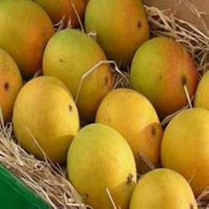 Varieties of Mangoes