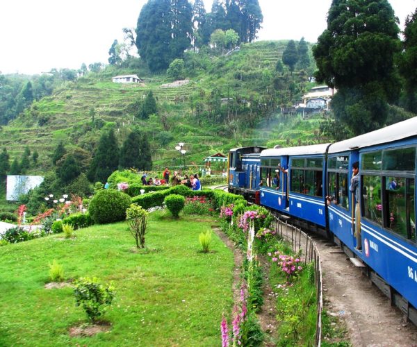 Bengal Darjeeling toy train