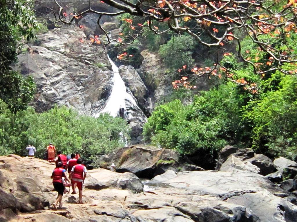 Adventure Activities in Goa - Top 5 Activities to Experience in Goa