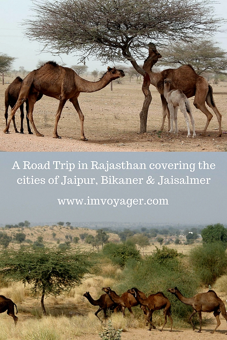 road trip in Rajasthan