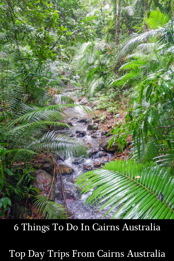 Cairns Attractions Best Day Trips from Cairns Australia