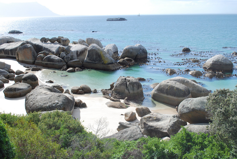 Day Trip From Cape Town To Cape Peninsula