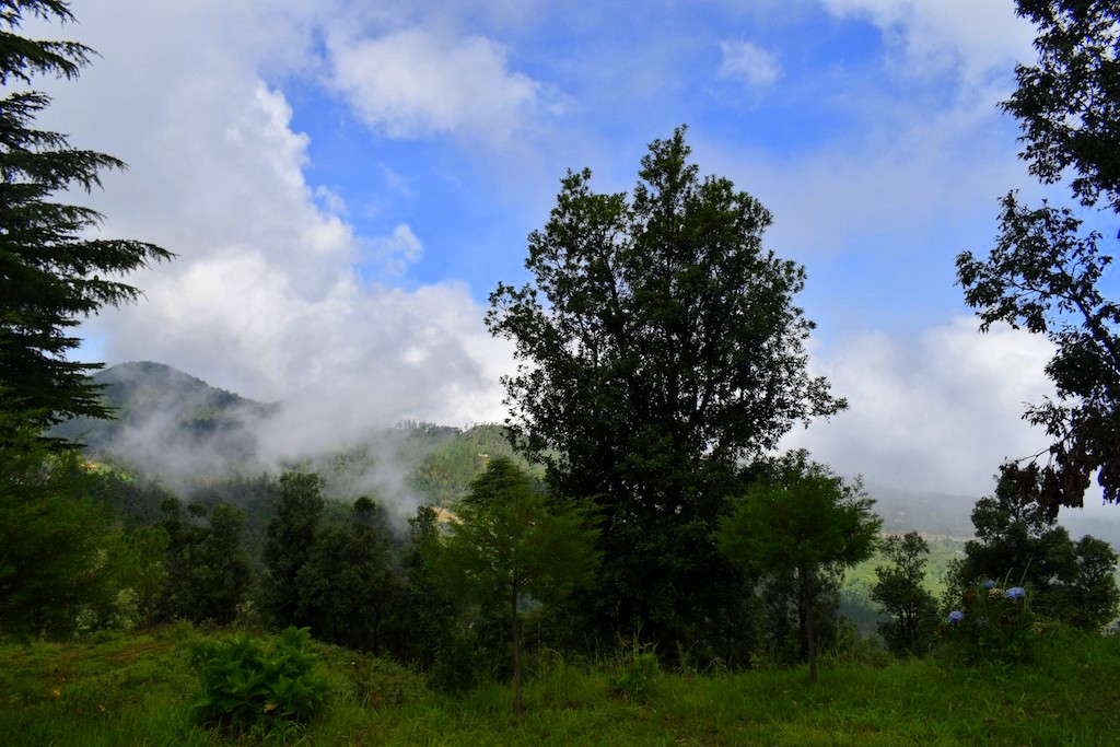 Best Places to Visit Near Lohaghat, Uttarakhand, India