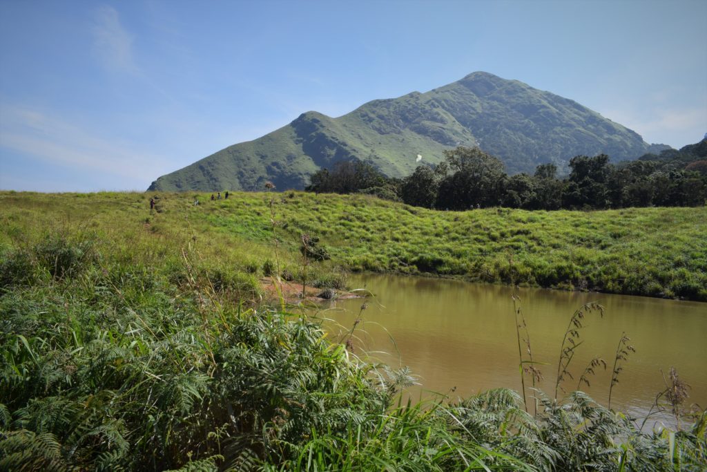 Trek To Chembra Peak