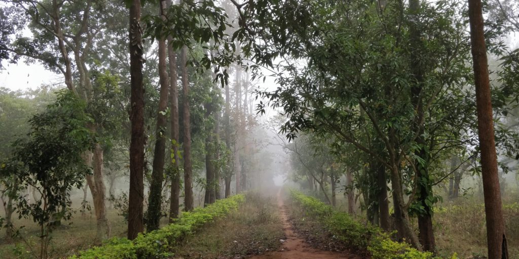 Araku Valley