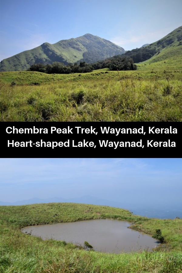 Chembra Peak trek, Kerala, India