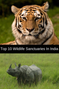 10 National Parks and Wildlife Sanctuaries in India