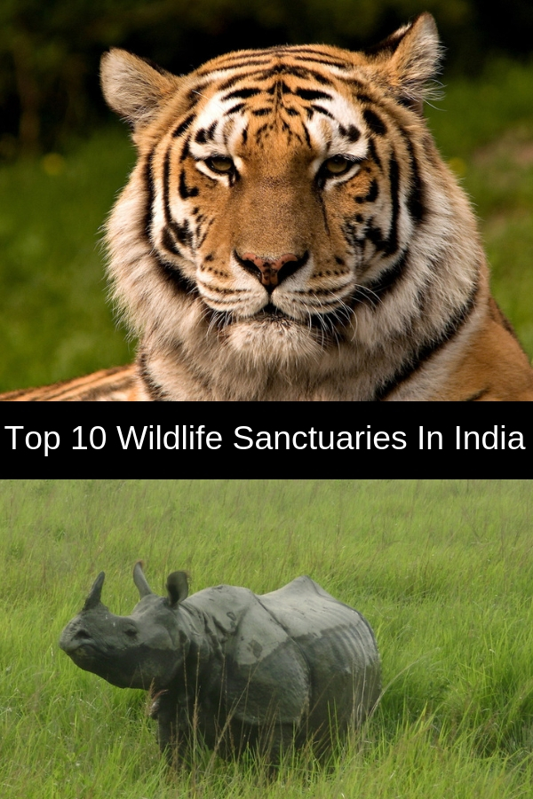 10 National Parks And Wildlife Sanctuaries In India 10 National Parks And Wildlife Sanctuaries In India