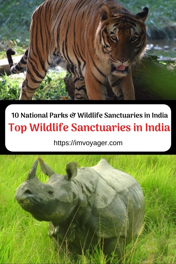 Top Wildlife Sanctuaries In India