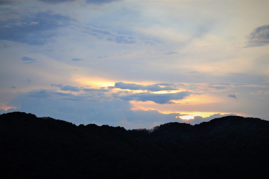 Sunset view from the Nyungwe Canopy Walk