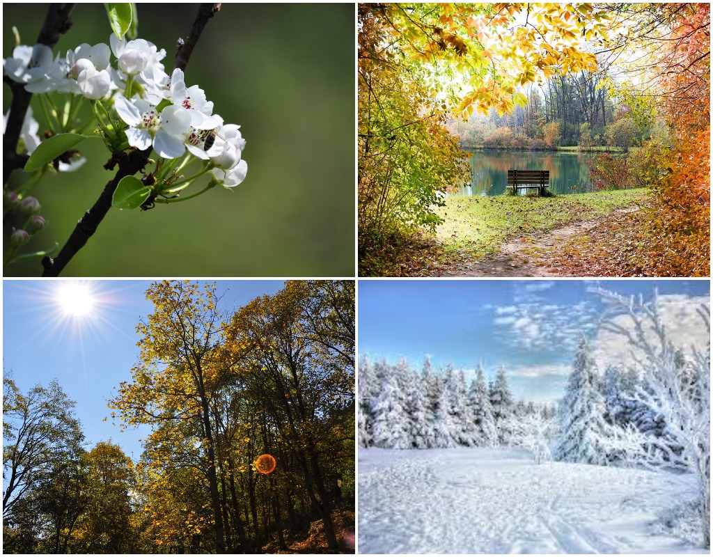 How to choose a travel destination - Four seasons