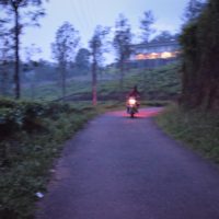 Road Trip From Bangalore To Wayanad