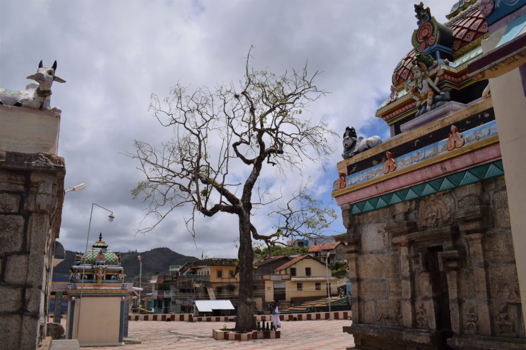 Poombarai Murugan Temple