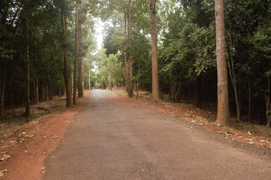 Road inside the Angkor Archaelogical Park, Siem Reap, Cambodia