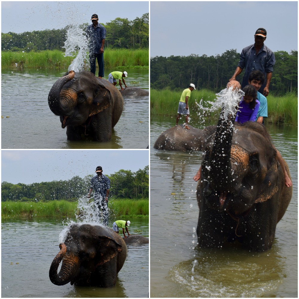 Bathing with Elephant