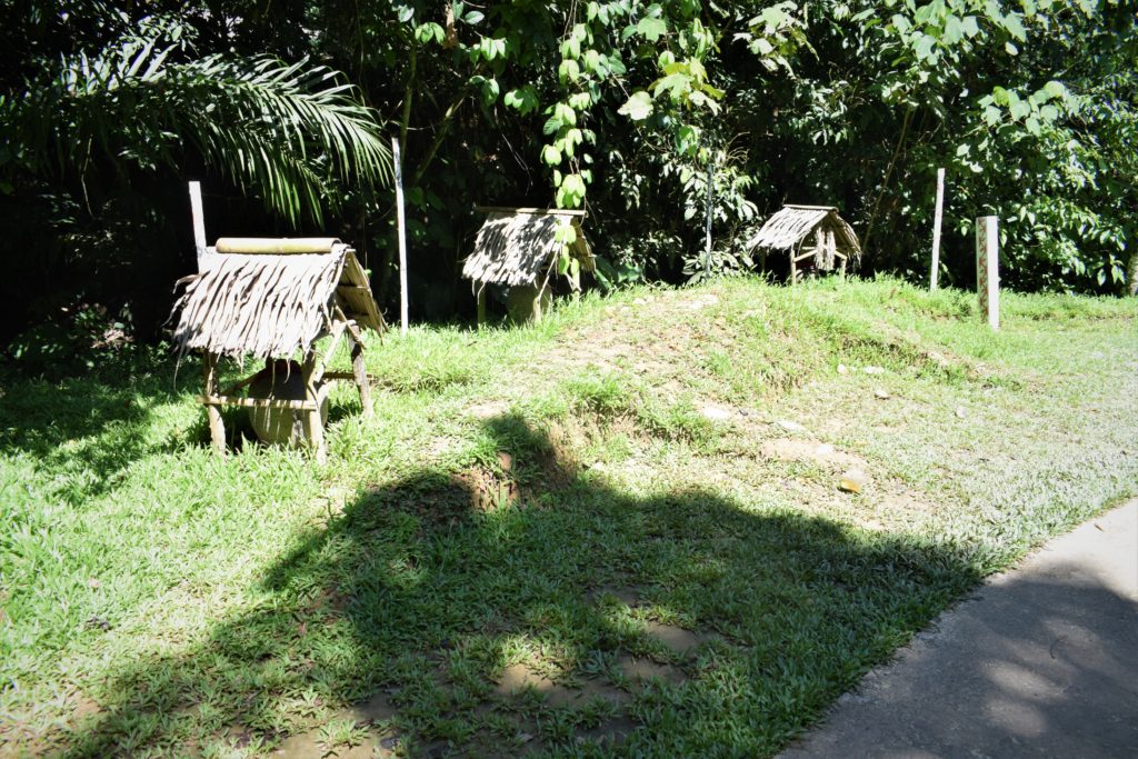 Crocodile mound outside Lundayeh tribal house