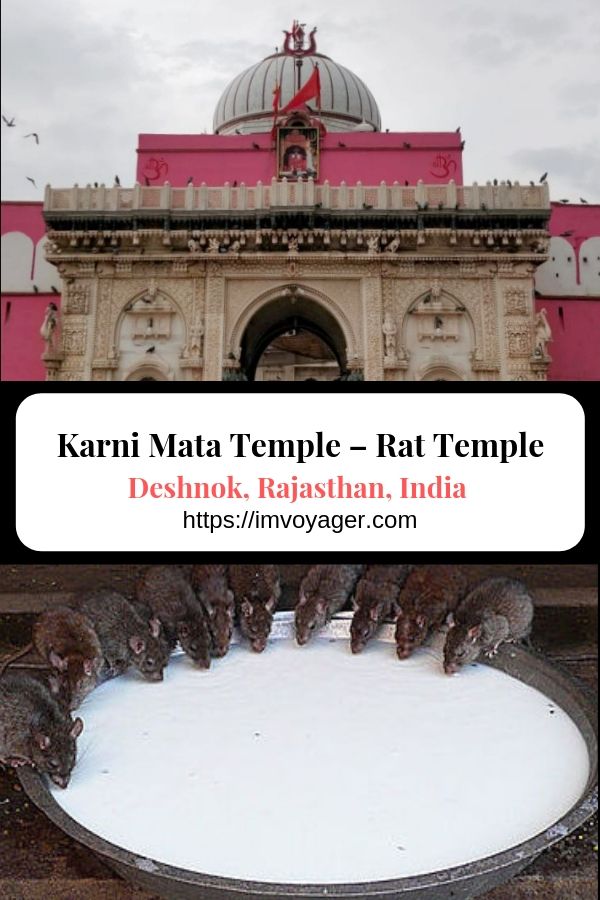 Deshnok Karni Mata Temple Bikaner Rajasthan