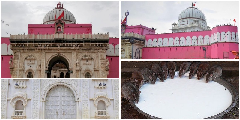 Karni Mata Temple – Rat Temple