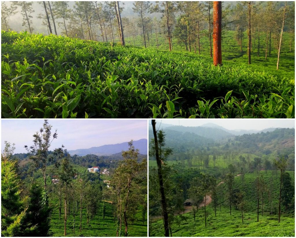 Places to Visit in Wayanad in 2 Days
