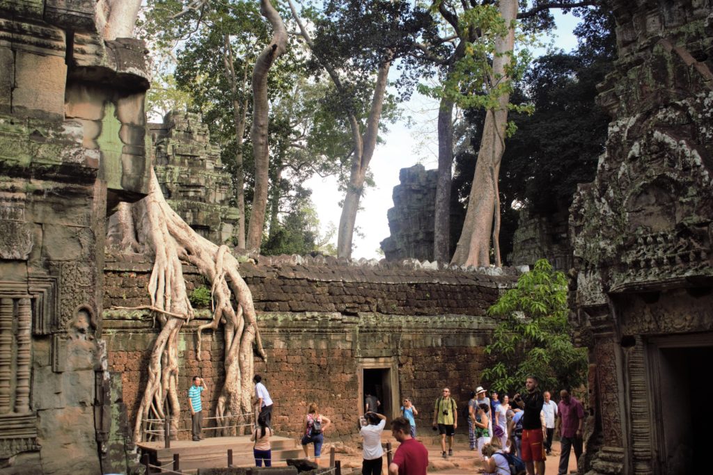 Tomb Raider Temple Ta Prohm - Angkor tree temple