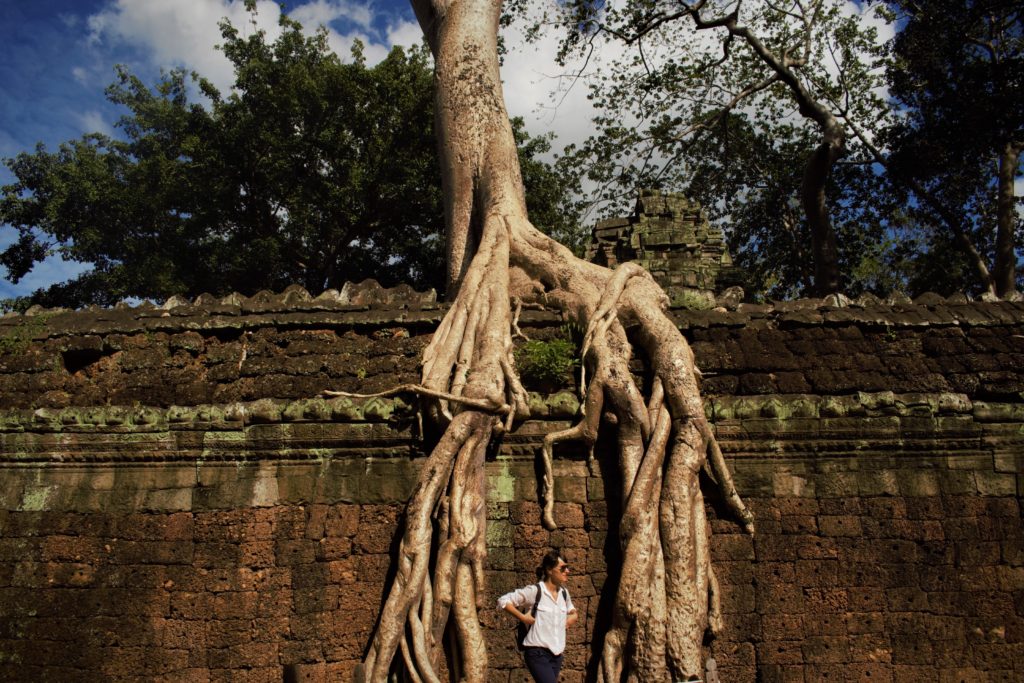 Tomb Raider Temple - Ta Prohm