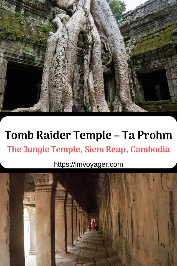 Tomb Raider Temple - Ta Prohm