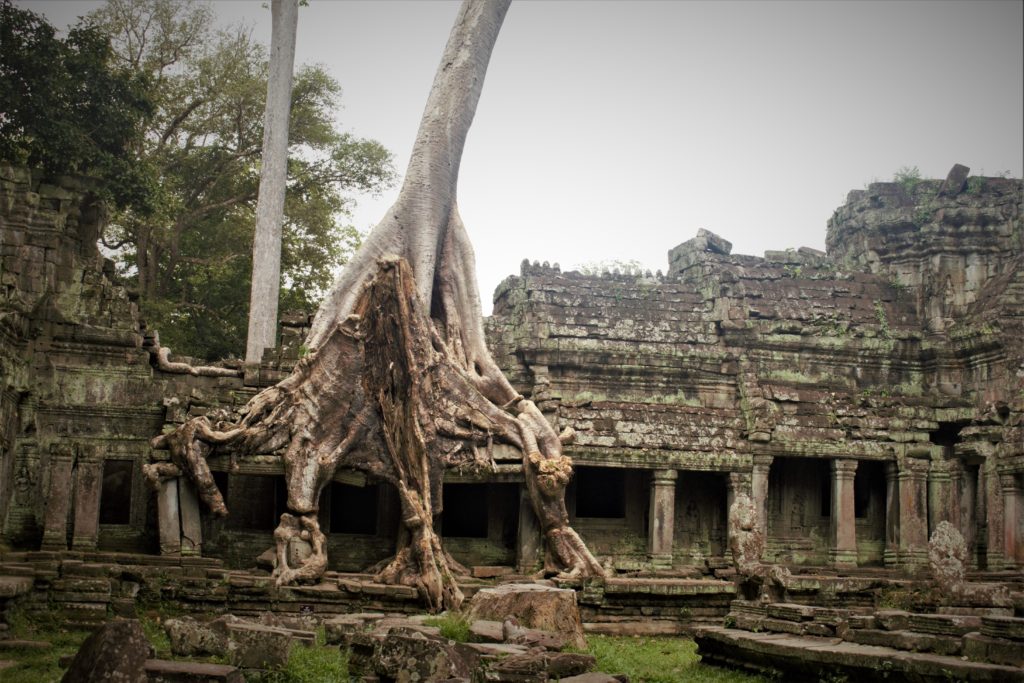 Preah Khan Temple Siem Reap