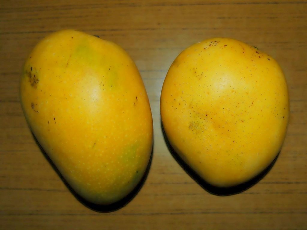 Indian Mangoes - Banganapalli