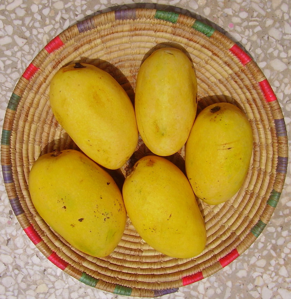 Indian Mangoes - Chaunsa mangoes