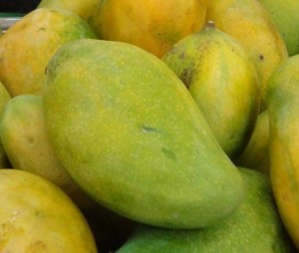 Indian Mangoes - Langra mango