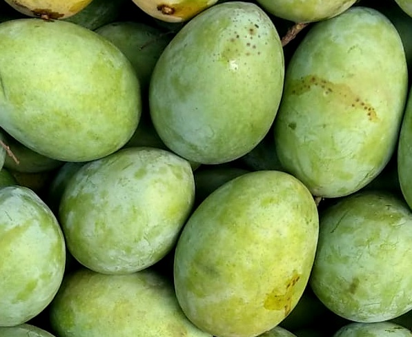 Langra mangoes
