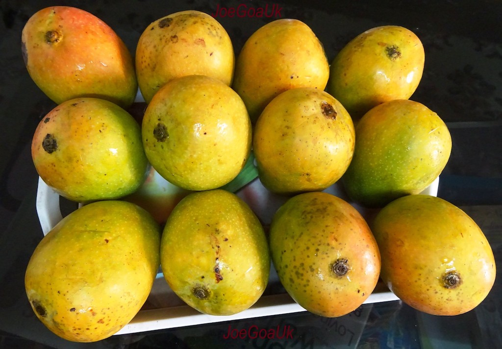 Indian Mangoes - Mankurad mango