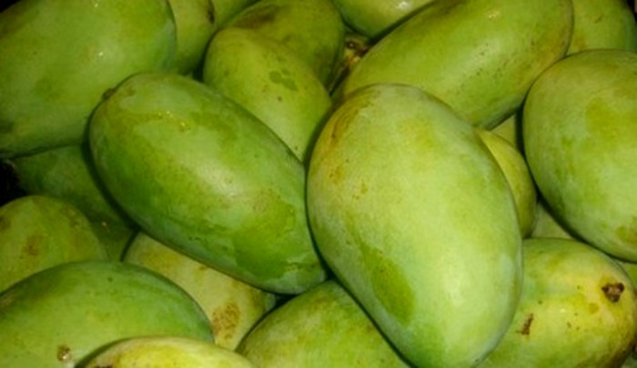 Fazli mangoes