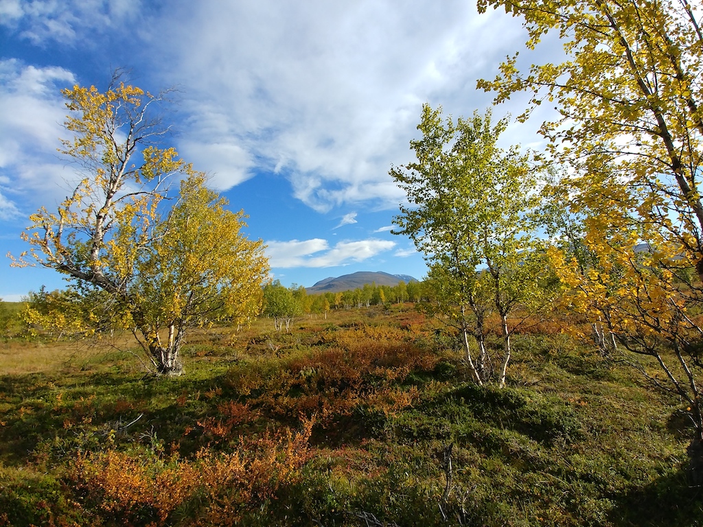 Sweden Bucket List - Top 5 Places to Visit in Sweden - Abisko National Park