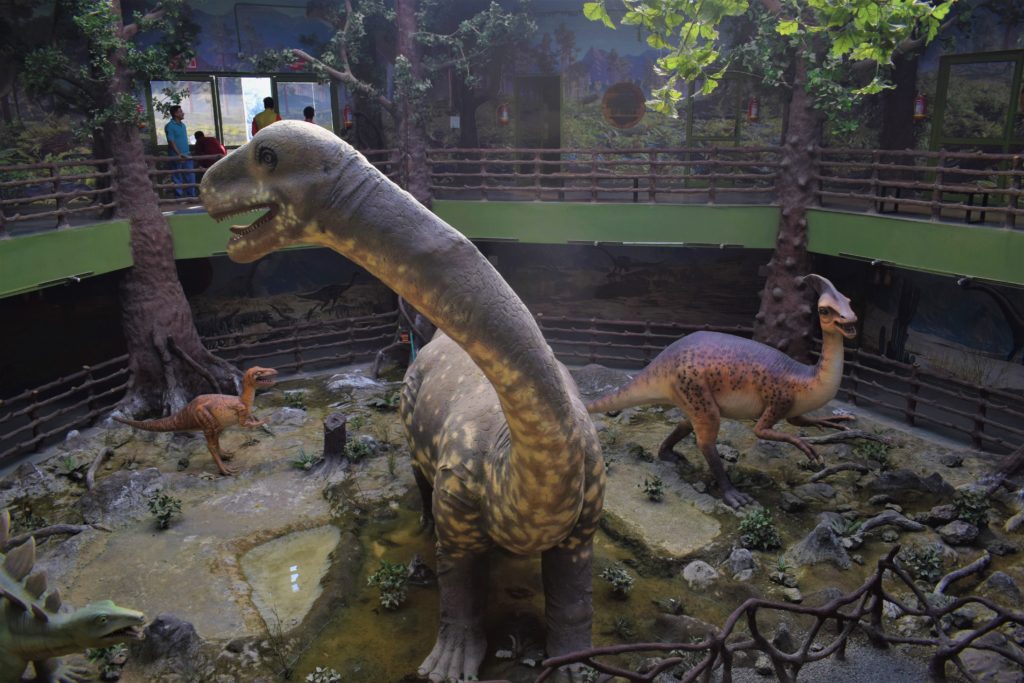 Dinosaur Museum Raioli