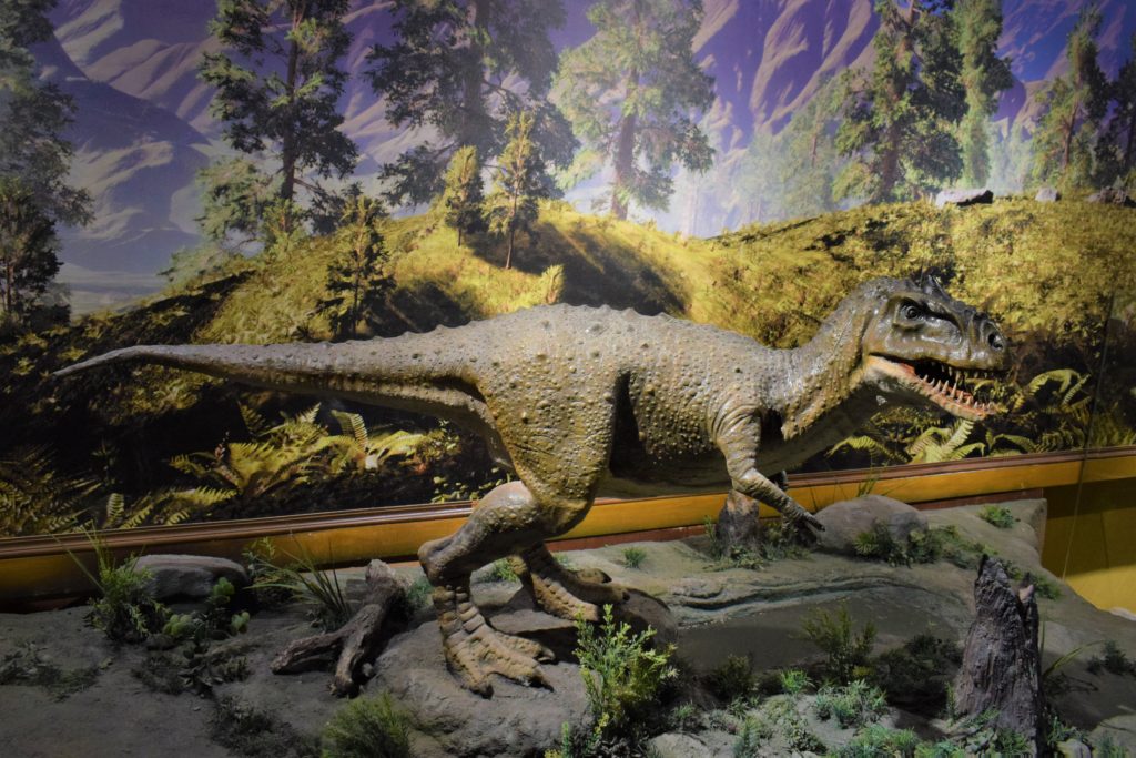 Rajasaurus at Balasinor Dinosaur Museum
