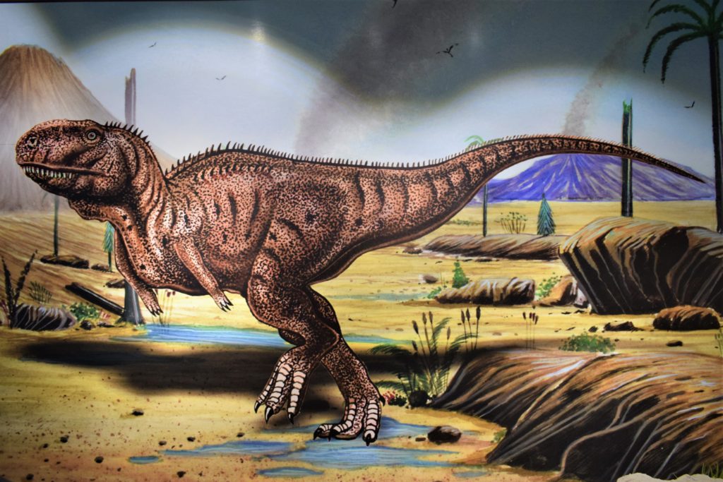Rahiolisaurus in Balasinor Dinosaur Museum