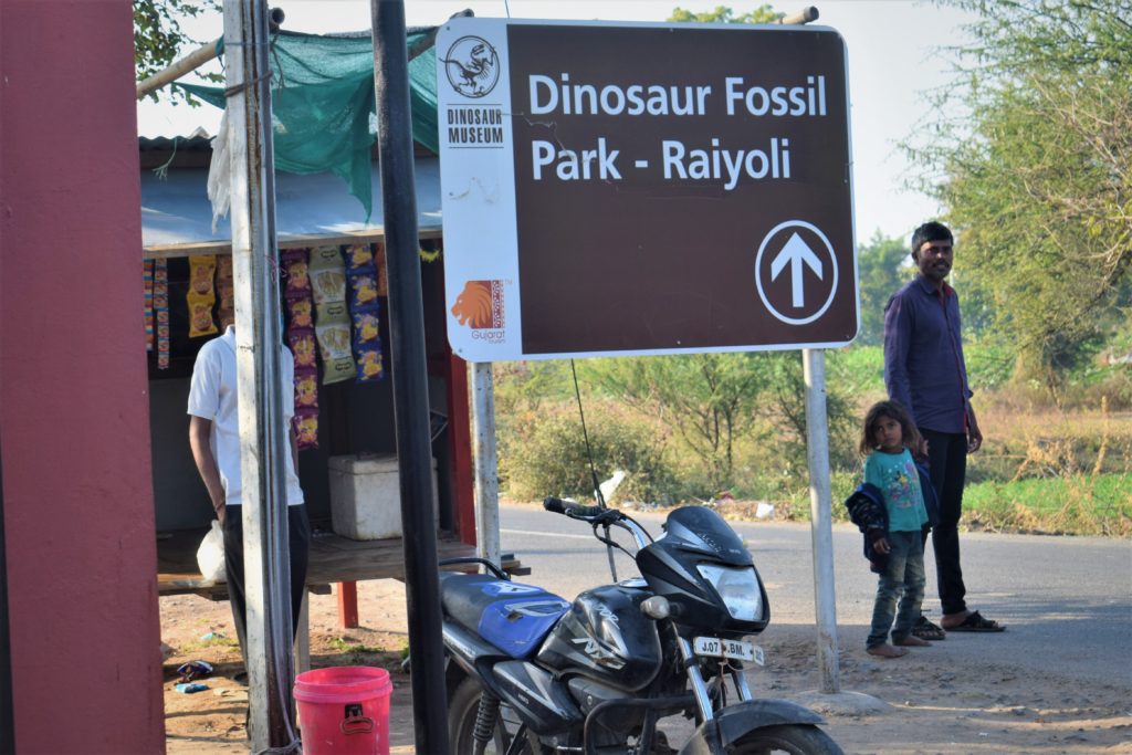 Dinosaur Fossil Park Raiyoli