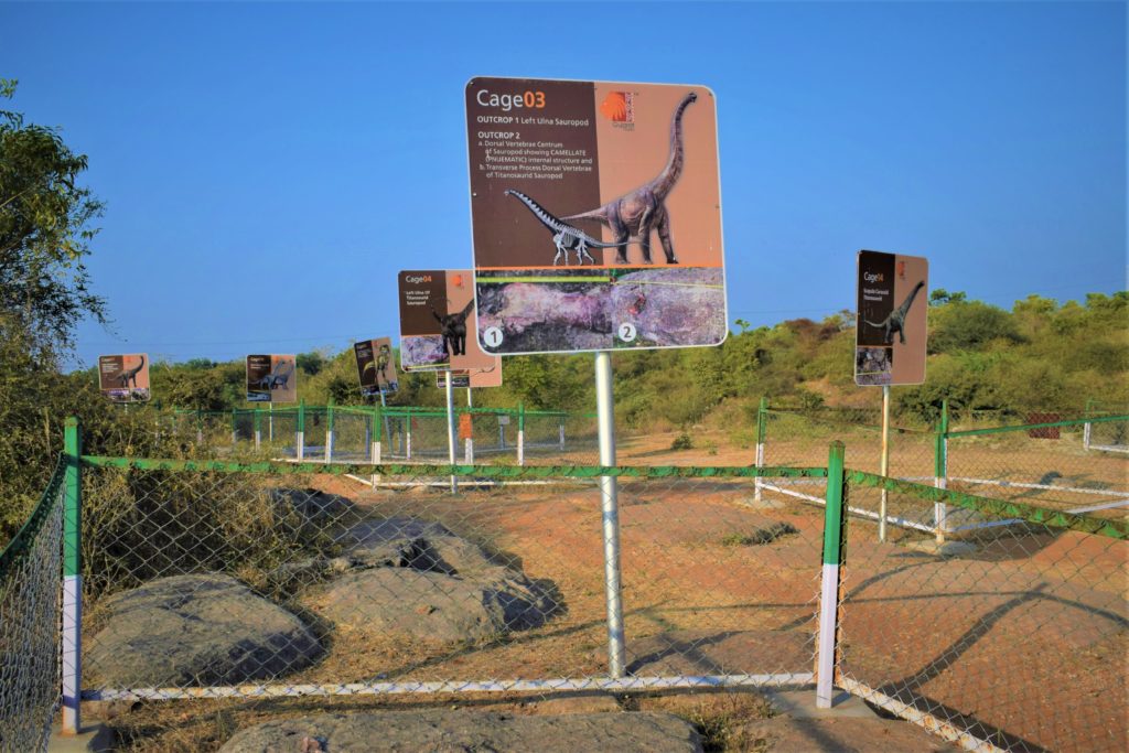 Dinosaur Fossil Park Balasinor
