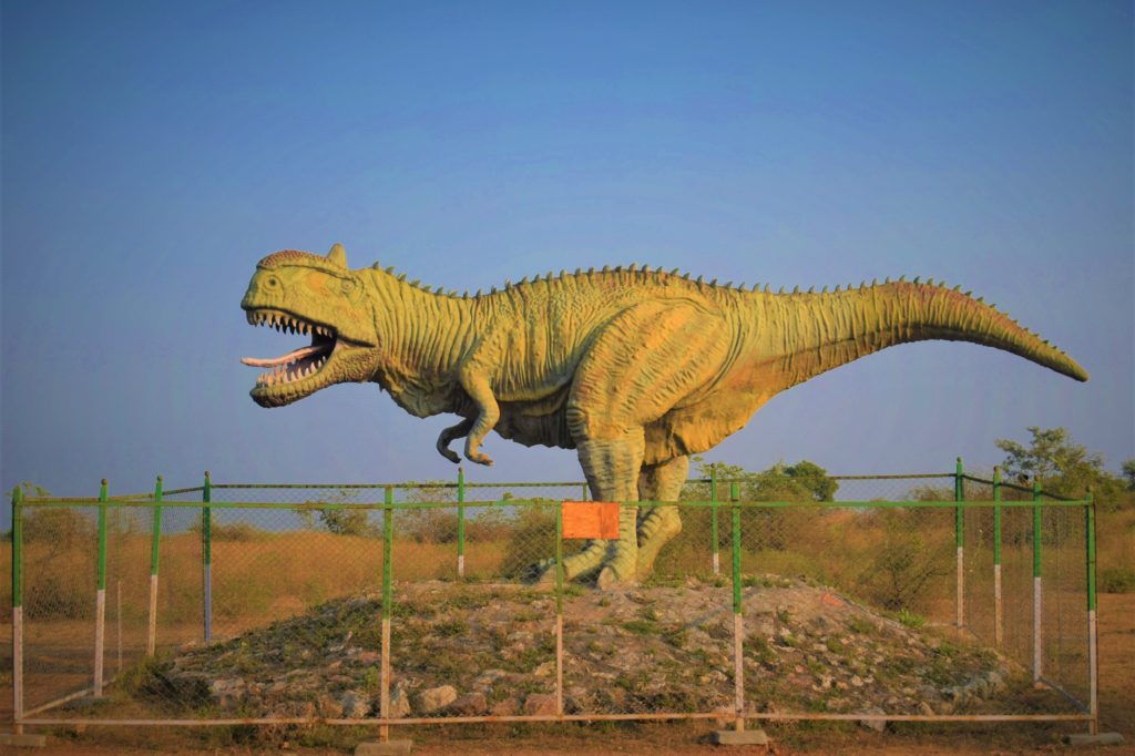 Balasinor Gujarat - Dinosaur Fossil Park Raiyoli 