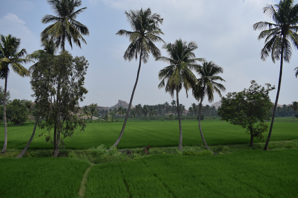 Anegundi Karnataka