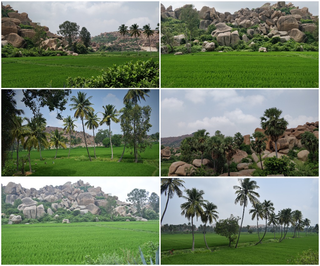 Paddy Fields and Rocks, Anegundi