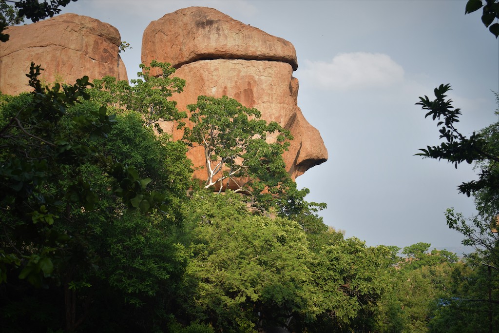 Rock shapedl like a human face