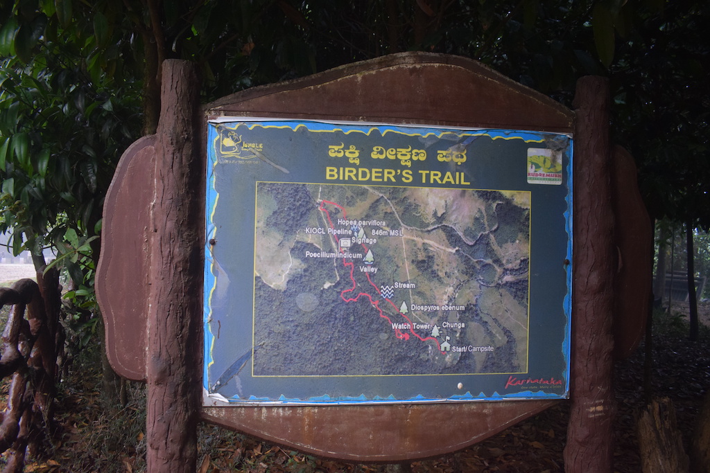 Bhagavathi Nature Camp Kudremukh National Park