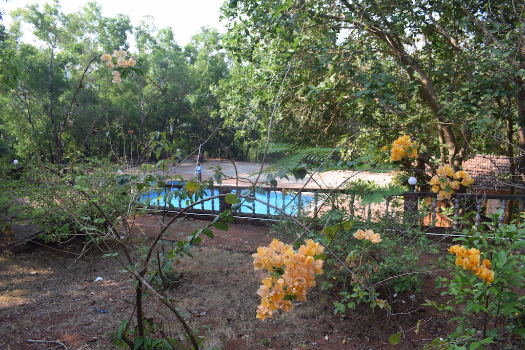 Om Beach Resort Gokarna - Swimming pool