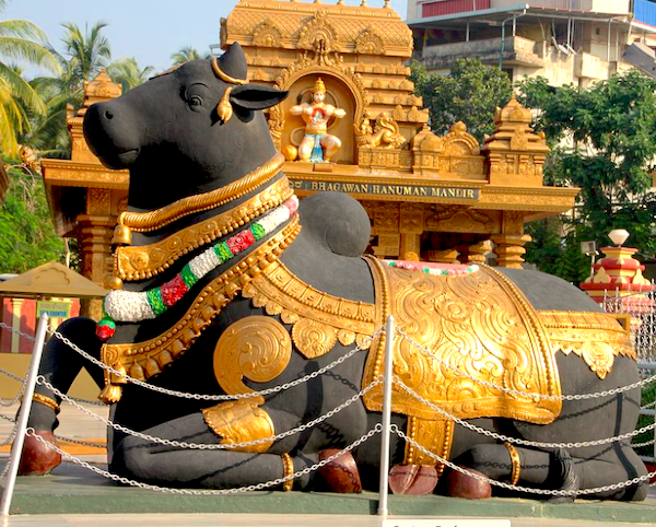 Nandi at Gokarnanatheshwara Temple