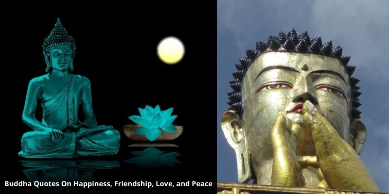 Buddha Quotes On Happiness, Friendship, Love & Peace