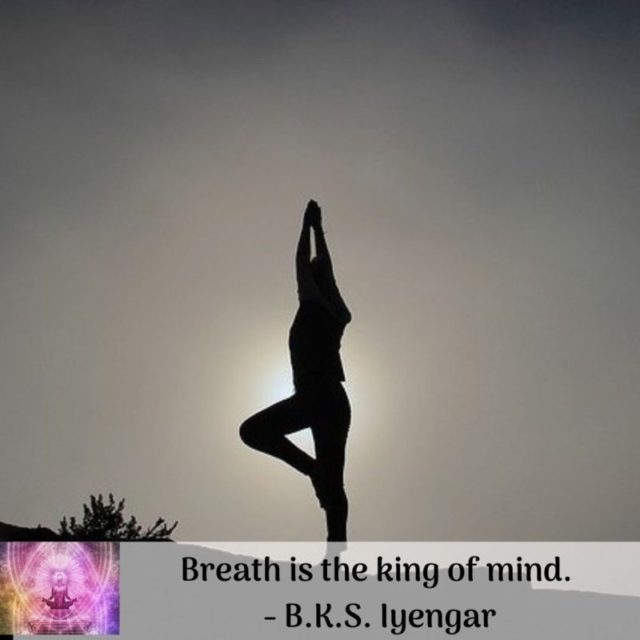Breath is the king of mind. -  B.K.S. Iyengar